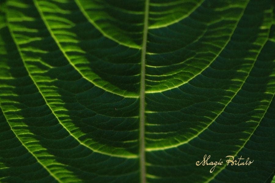 Liminality